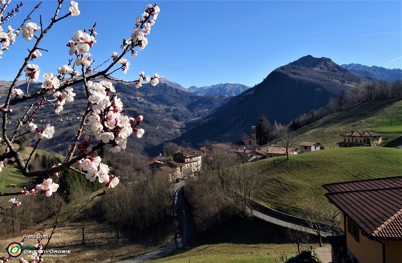 17 Fiori di melo con vista su Alino.JPG -                                